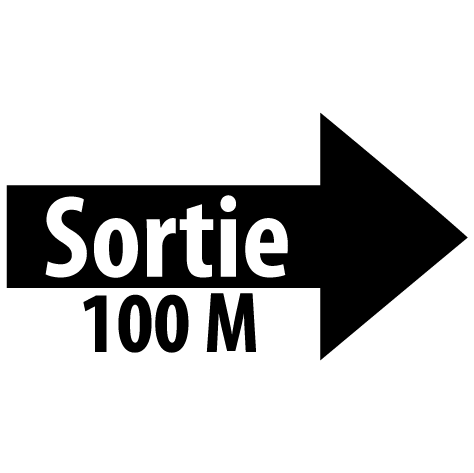 Sticker flèche sortie droite 100M : SF17